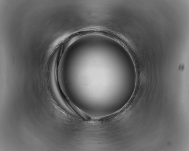 X0000090861406200707271219
