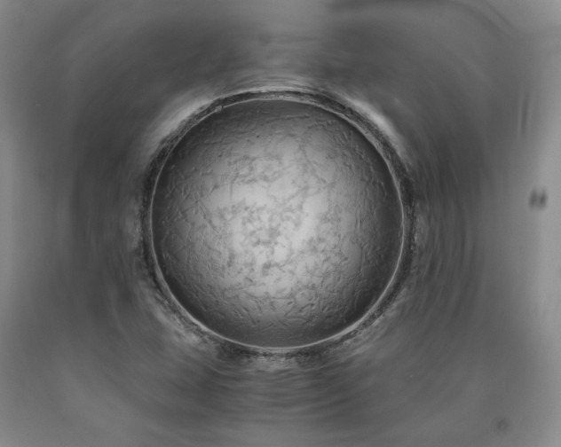 X0000090861407200707271219