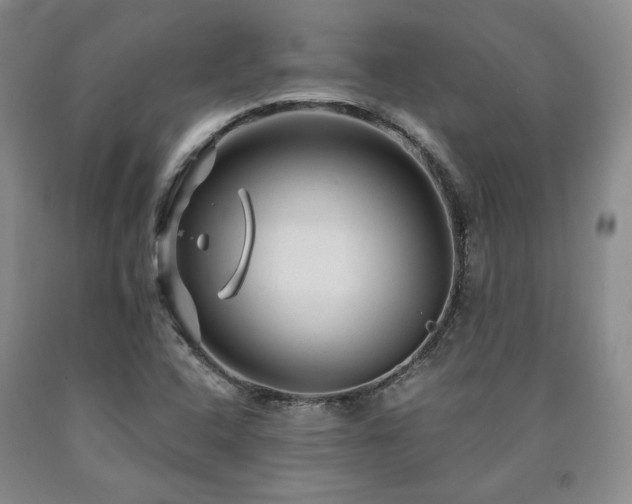 X0000090861408200707271219