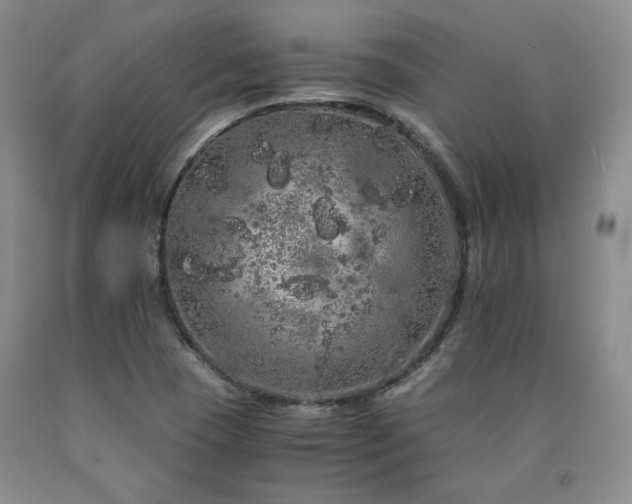 X0000090861409200707271219