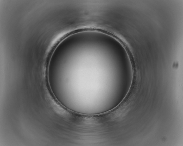 X0000090861416200707271219