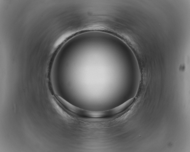 X0000090861422200707271219
