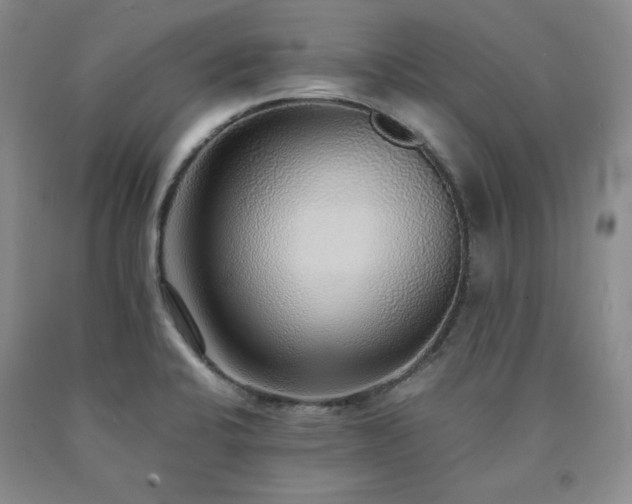 X0000090861424200707271219