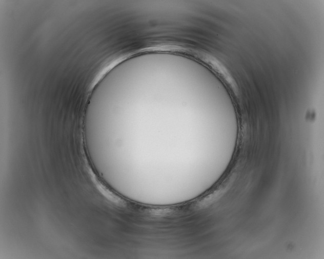 X0000090861425200707271219
