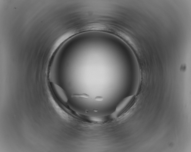 X0000090861426200707271219
