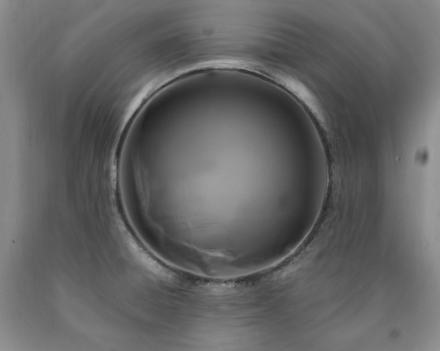 X0000090861428200707271219