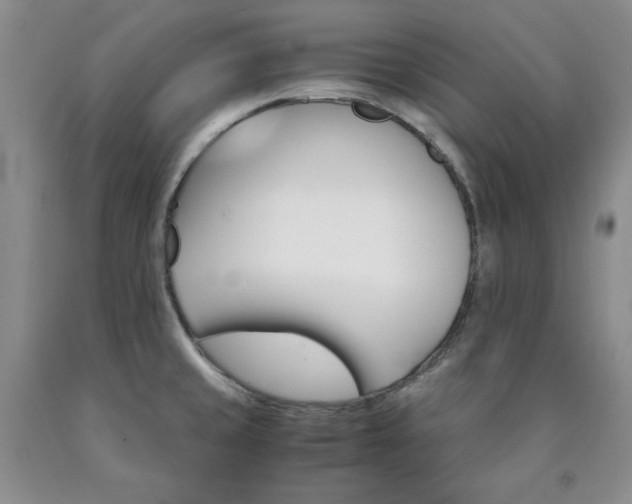 X0000090861429200707271219