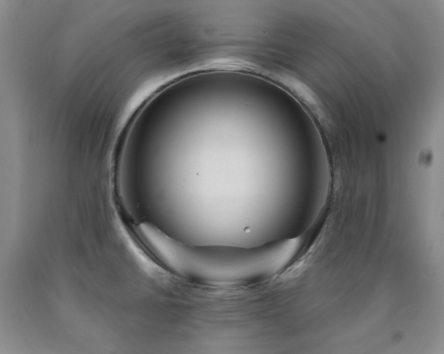 X0000090861430200707271219