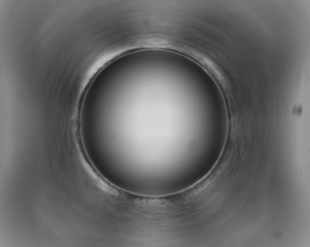 X0000090861432200707271219