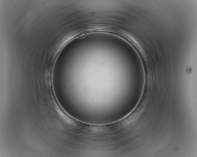 X0000090861433200707271219