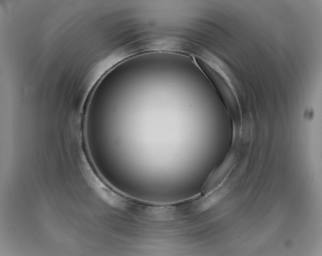 X0000090861434200707271219
