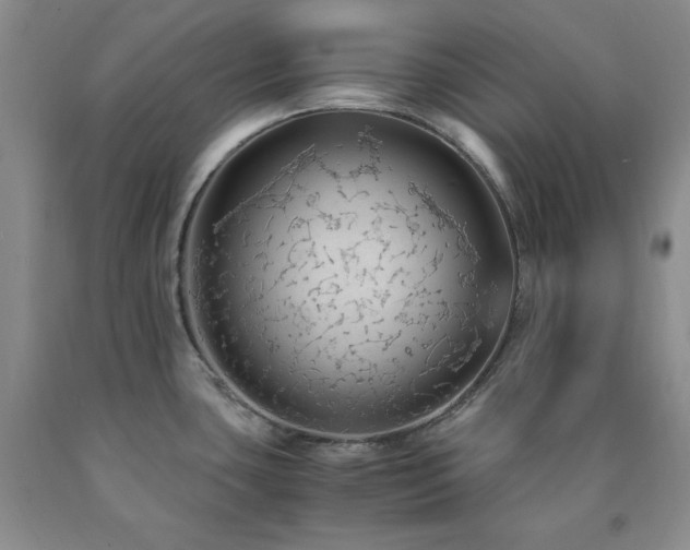 X0000090861435200707271219