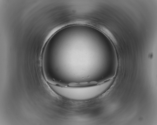 X0000090861436200707271219