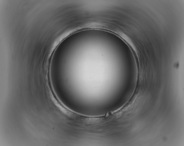 X0000090861437200707271219