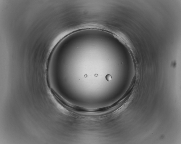 X0000090861438200707271219