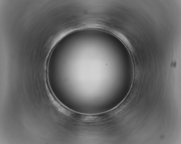 X0000090861439200707271219