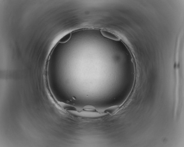 X0000090861440200707271219