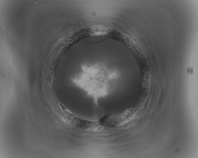 X0000090861441200707271219