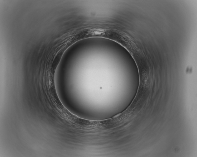 X0000090861442200707271219