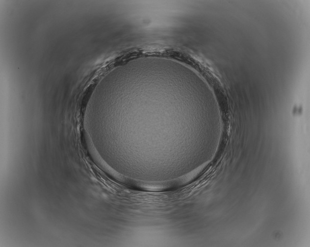 X0000090861445200707271219