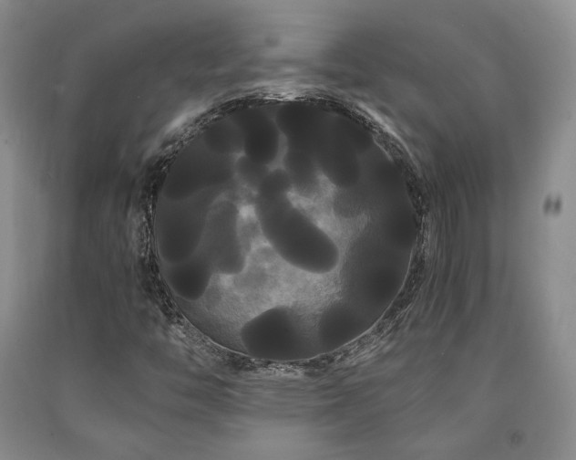 X0000090861446200707271219