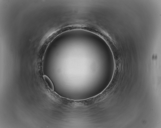 X0000090861448200707271219