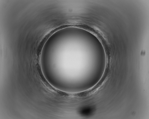 X0000090861449200707271219