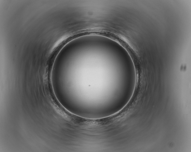 X0000090861450200707271219
