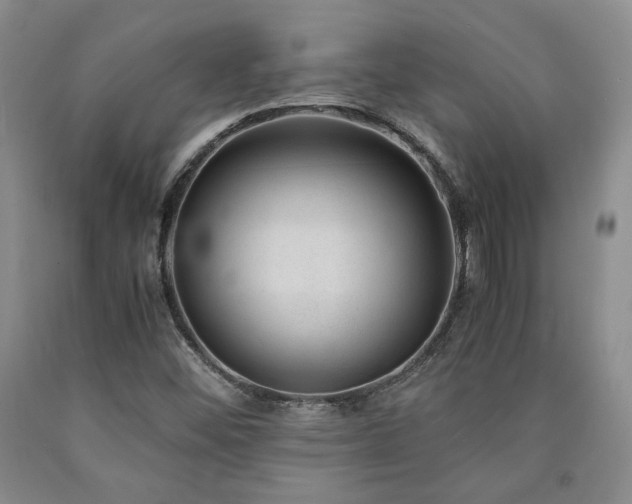 X0000090861452200707271218