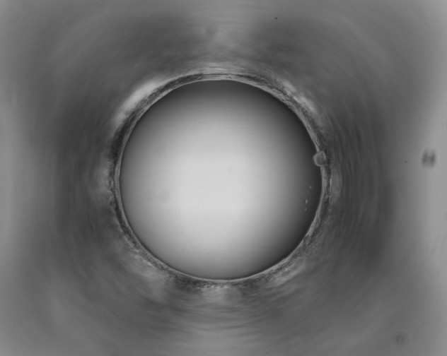 X0000090861454200707271218