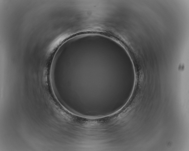 X0000090861455200707271218
