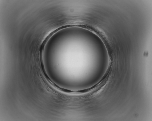 X0000090861457200707271218