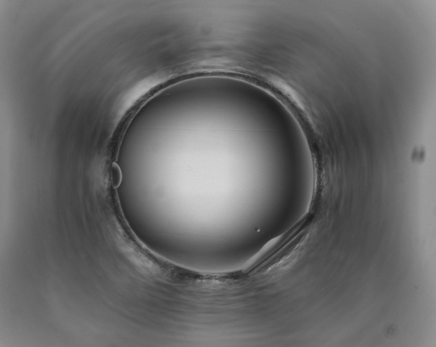 X0000090861458200707271218