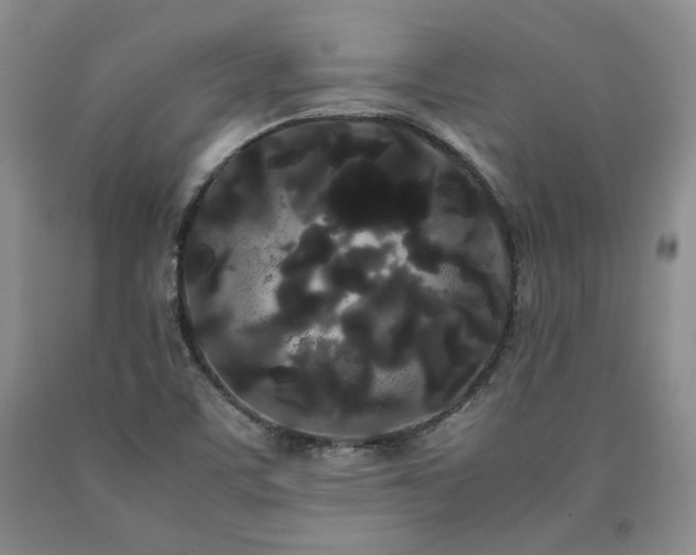 X0000090861459200707271218