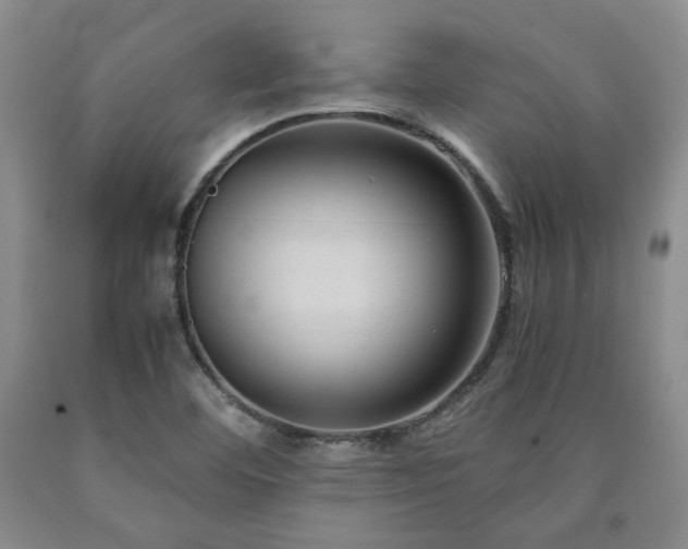 X0000090861460200707271218