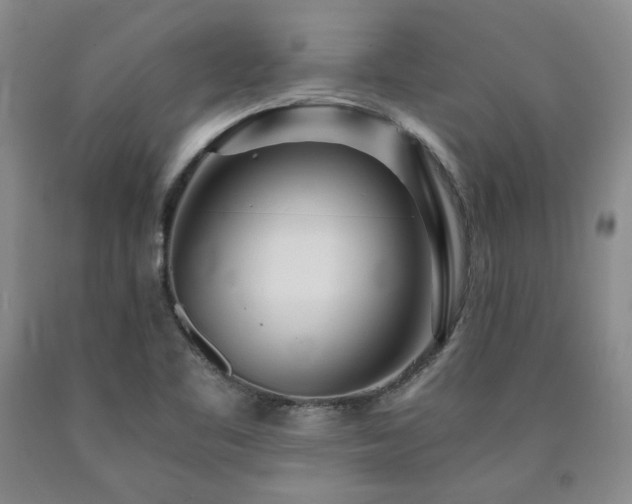 X0000090861461200707271218