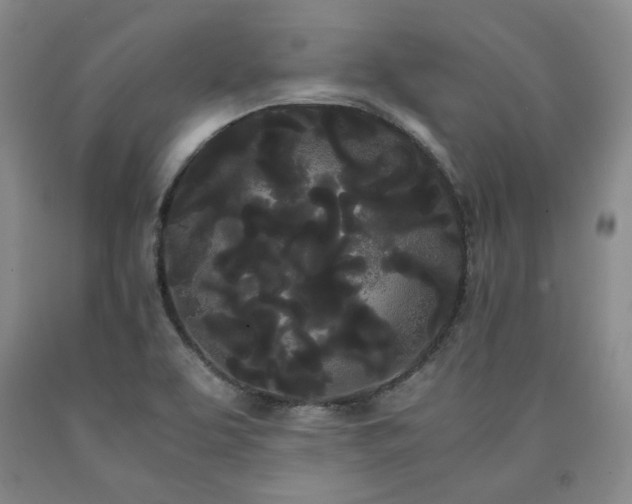 X0000090861463200707271218