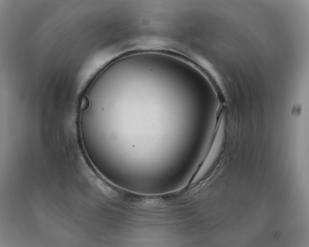 X0000090861464200707271218