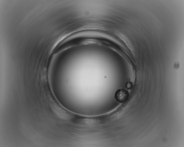 X0000090861465200707271218