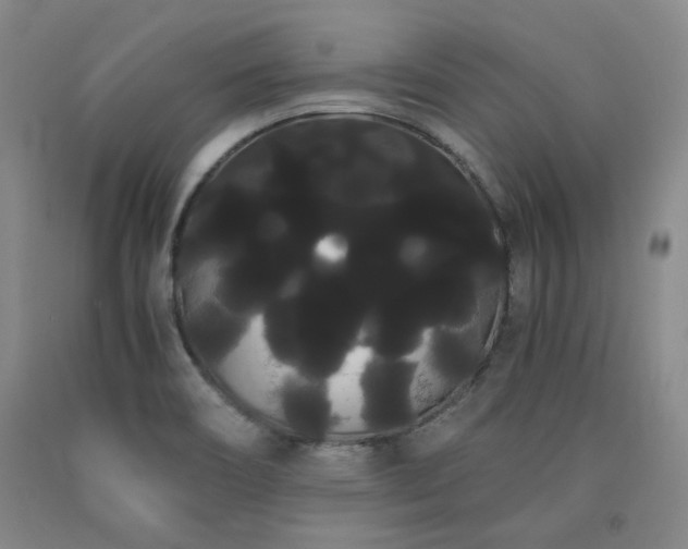 X0000090861466200707271218