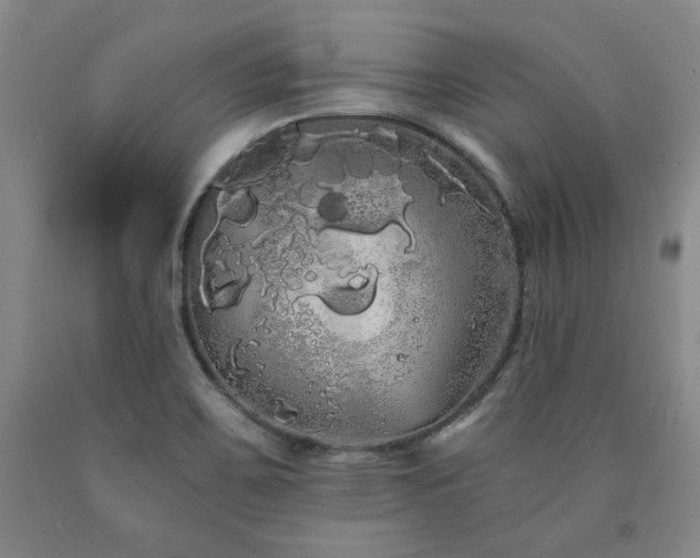 X0000090861467200707271218