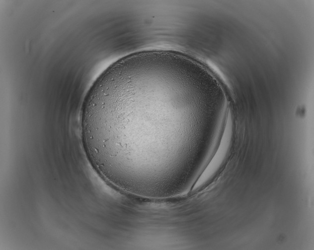 X0000090861468200707271218