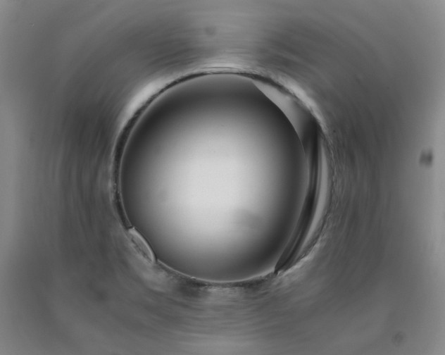 X0000090861469200707271218
