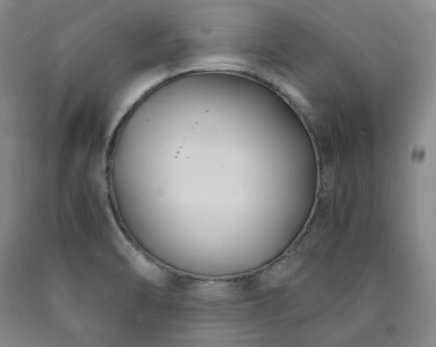 X0000090861470200707271218
