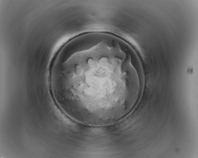 X0000090861472200707271218