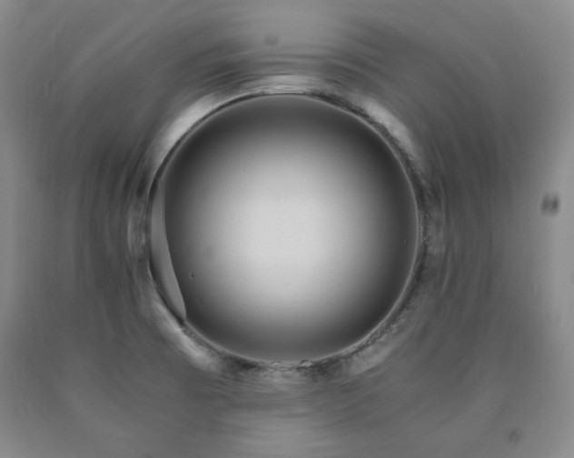 X0000090861473200707271218
