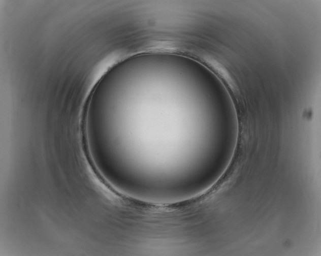 X0000090861475200707271218