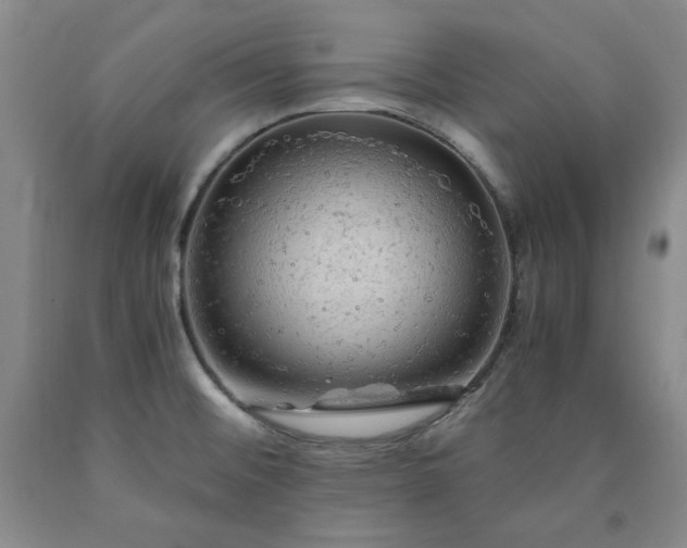 X0000090861476200707271218