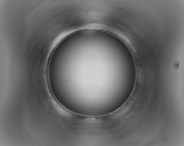 X0000090861478200707271218