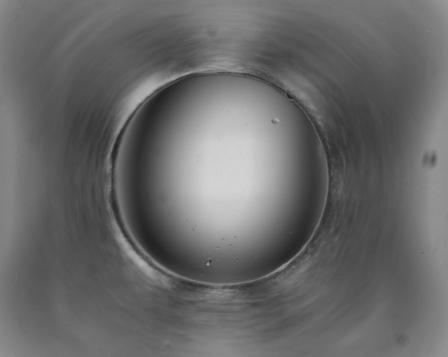 X0000090861479200707271218
